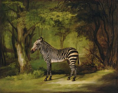 A Zebra, 1763 by George Stubbs